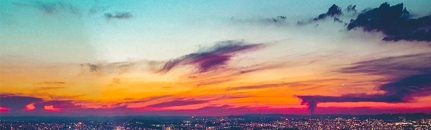 磁县茶虫网_磁县品茶